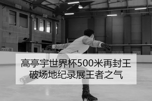 高亭宇世界杯500米再封王 破场地纪录展王者之气